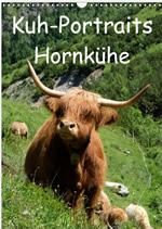 Kalender Kuhportraits Hornkühe