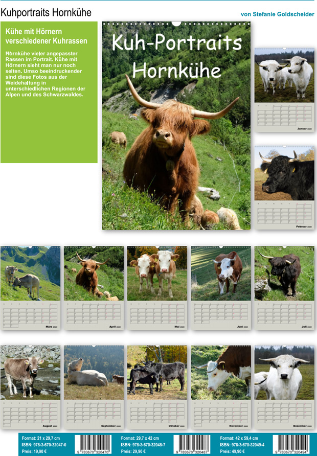 Kuhportraits Hornkühe Fotokalender 2020 von Stefanie Goldscheider